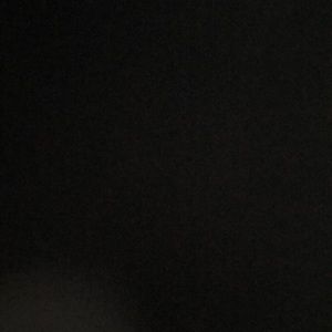 Meet your Posher, Roniesha